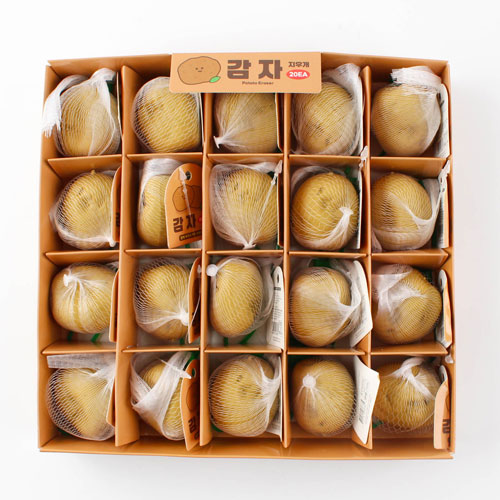 301C] 1000 ���� ���찳 ��������