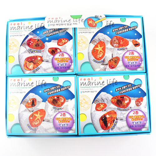 224C] 6000 ���� �ؾ�ȭ�� �߱� ŰƮ ��������